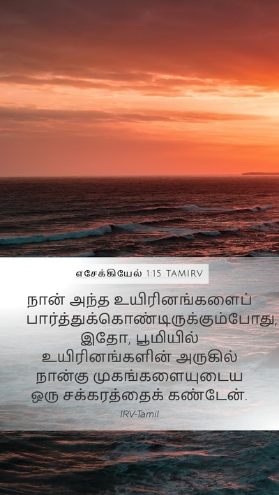 எசேக்கியேல் 1:15 TAMIRV Bible Verse Image