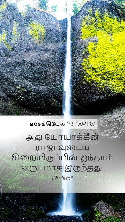 எசேக்கியேல் 1:2 TAMIRV Bible Verse Image