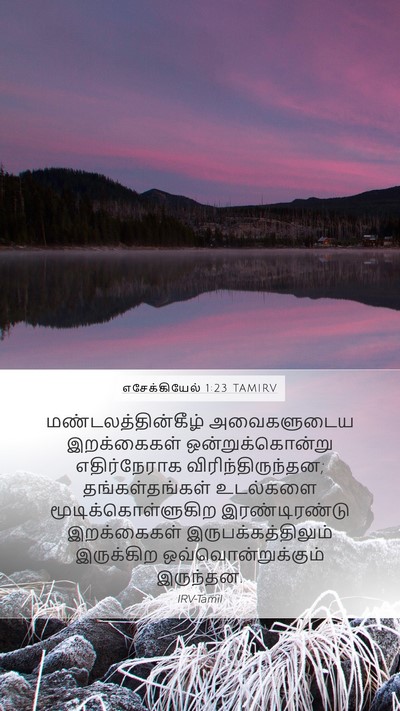 எசேக்கியேல் 1:23 TAMIRV Bible Verse Image