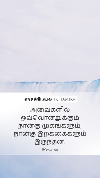 எசேக்கியேல் 1:6 TAMIRV Bible Verse Image