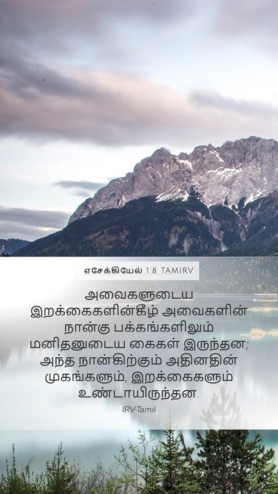 எசேக்கியேல் 1:8 TAMIRV Bible Verse Image