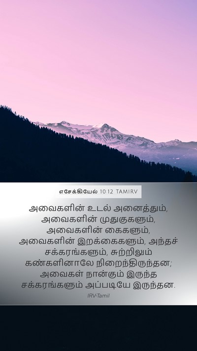 எசேக்கியேல் 10:12 TAMIRV Mobile Phone Wallpaper - அவைகளின் உடல் - Mobile Bible Verse Wallpaper
