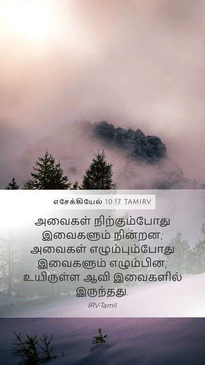 எசேக்கியேல் 10:17 TAMIRV Bible Verse Image