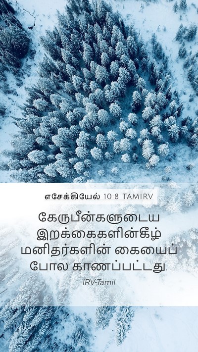 எசேக்கியேல் 10:8 TAMIRV Bible Verse Image