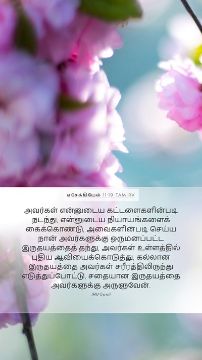 எசேக்கியேல் 11:19 TAMIRV Bible Verse Image