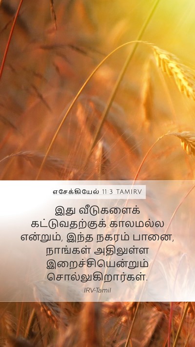 எசேக்கியேல் 11:3 TAMIRV Bible Verse Image