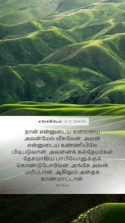 எசேக்கியேல் 12:13 TAMIRV Bible Verse Image