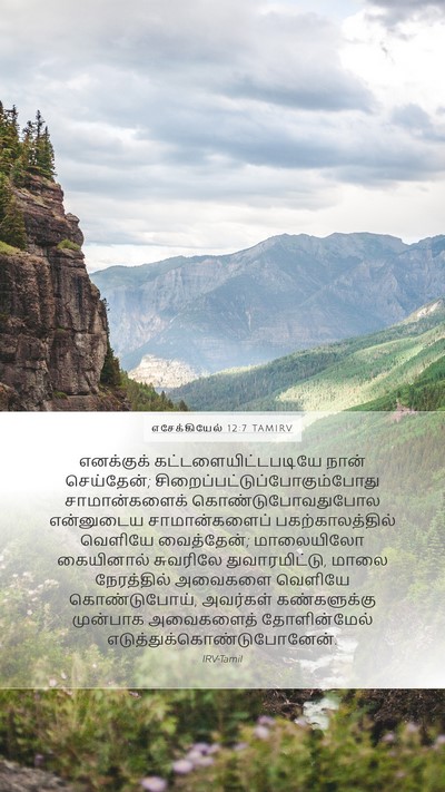 எசேக்கியேல் 12:7 TAMIRV Mobile Phone Wallpaper - எனக்குக் - Mobile Bible Verse Wallpaper