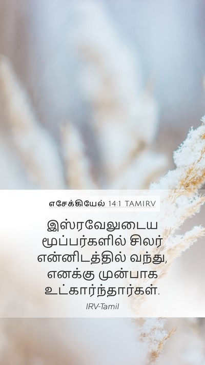 எசேக்கியேல் 14:1 TAMIRV Bible Verse Image