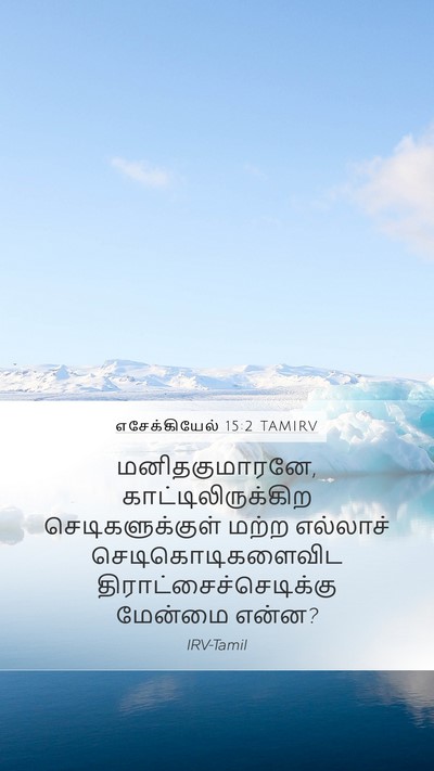 எசேக்கியேல் 15:2 TAMIRV Bible Verse Image