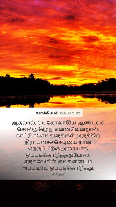 எசேக்கியேல் 15:6 TAMIRV Bible Verse Image