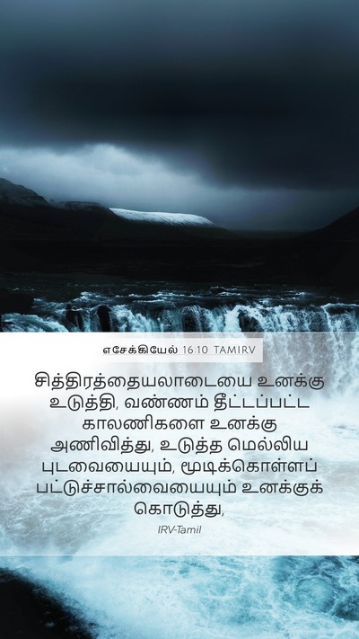 எசேக்கியேல் 16:10 TAMIRV Bible Verse Image