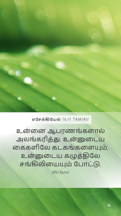 எசேக்கியேல் 16:11 TAMIRV Bible Verse Image