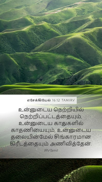 எசேக்கியேல் 16:12 TAMIRV Bible Verse Image