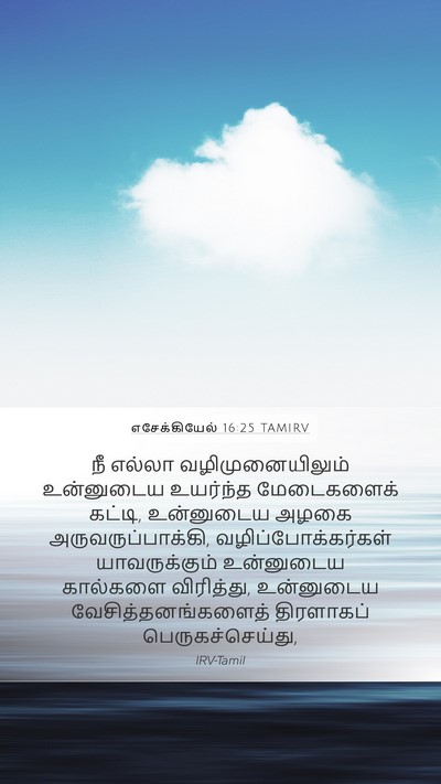 எசேக்கியேல் 16:25 TAMIRV Bible Verse Image