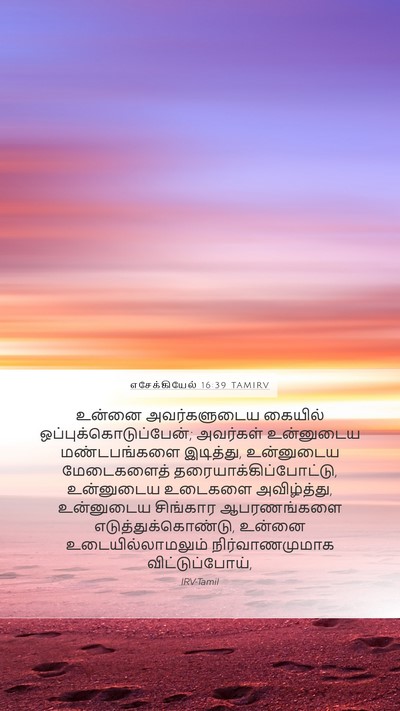 எசேக்கியேல் 16:39 TAMIRV Bible Verse Image