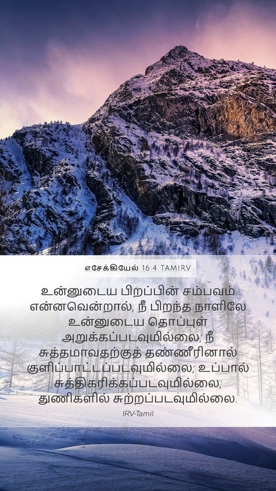 எசேக்கியேல் 16:4 TAMIRV Bible Verse Image