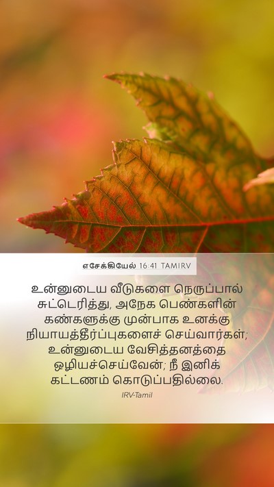 எசேக்கியேல் 16:41 TAMIRV Bible Verse Image
