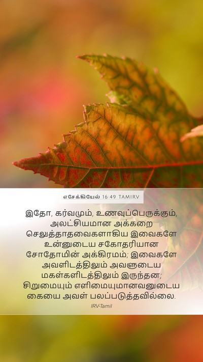 எசேக்கியேல் 16:49 TAMIRV Bible Verse Image