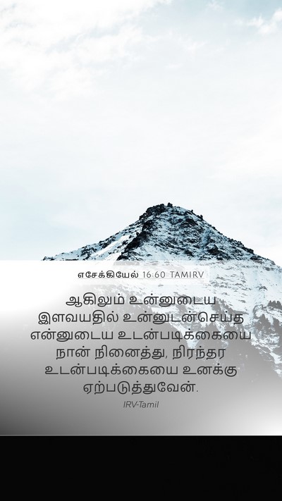 எசேக்கியேல் 16:60 TAMIRV Mobile Phone Wallpaper - ஆகிலும் உன்னுடைய - Mobile Bible Verse Wallpaper