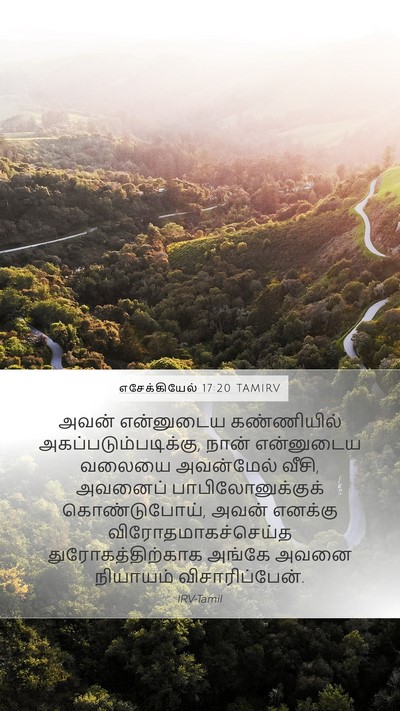 எசேக்கியேல் 17:20 TAMIRV Bible Verse Image