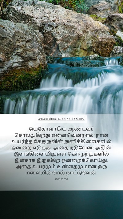 எசேக்கியேல் 17:22 TAMIRV Bible Verse Image