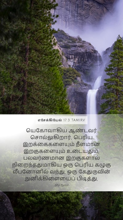 எசேக்கியேல் 17:3 TAMIRV Bible Verse Image