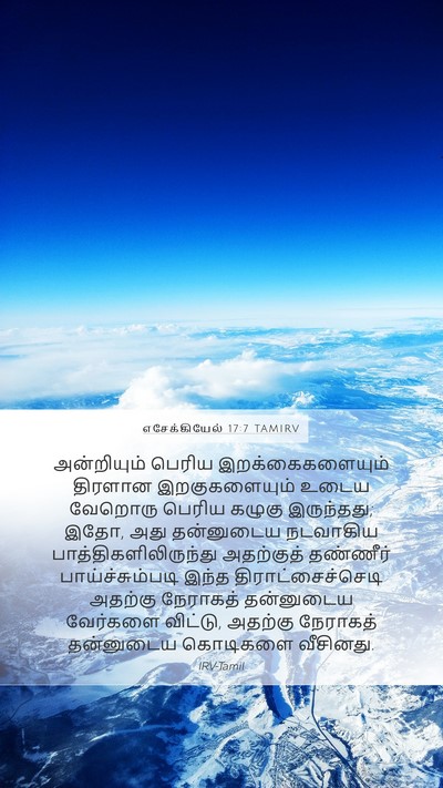 எசேக்கியேல் 17:7 TAMIRV Bible Verse Image