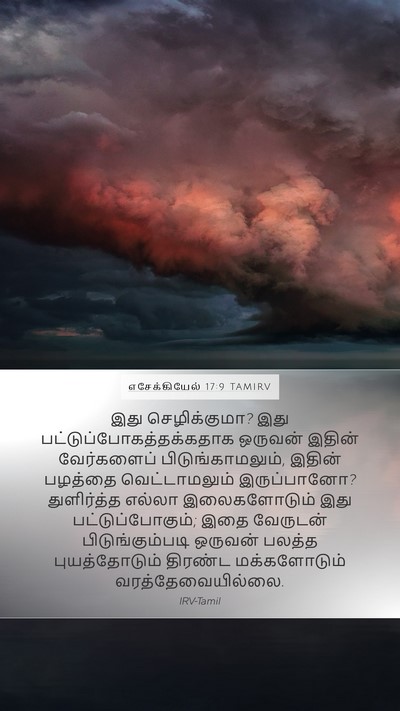 எசேக்கியேல் 17:9 TAMIRV Mobile Phone Wallpaper - இது செழிக்குமா? - Mobile Bible Verse Wallpaper
