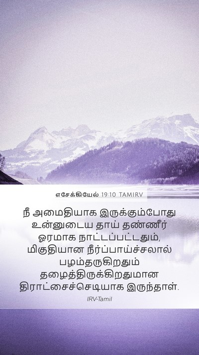 எசேக்கியேல் 19:10 TAMIRV Bible Verse Image