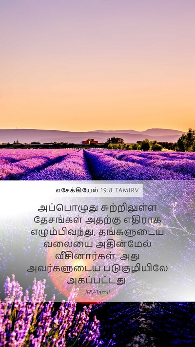 எசேக்கியேல் 19:8 TAMIRV Bible Verse Image