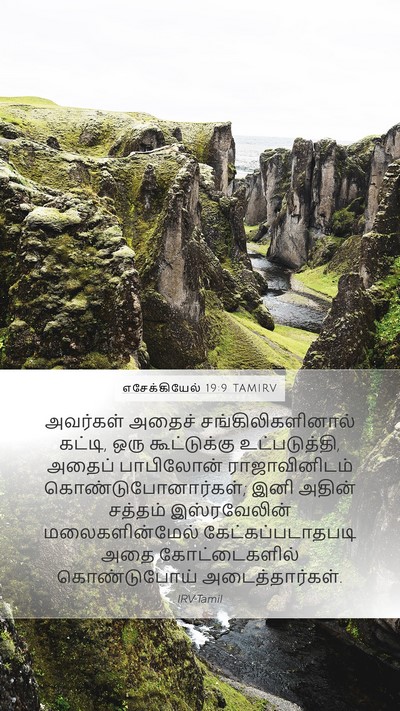 எசேக்கியேல் 19:9 TAMIRV Bible Verse Image