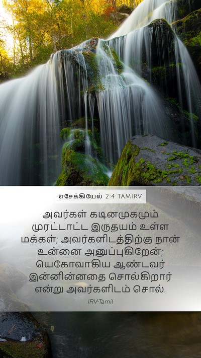 எசேக்கியேல் 2:4 TAMIRV Bible Verse Image