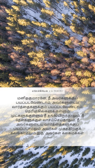 எசேக்கியேல் 2:6 TAMIRV Bible Verse Image
