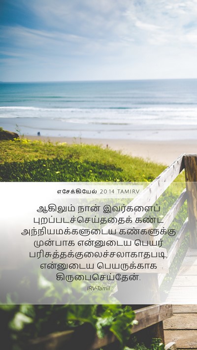 எசேக்கியேல் 20:14 TAMIRV Bible Verse Image
