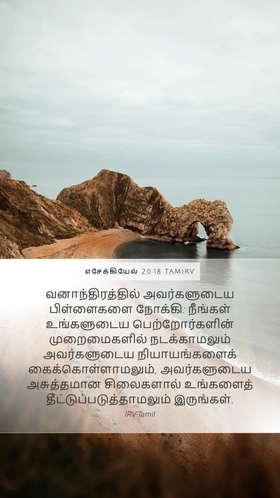 எசேக்கியேல் 20:18 TAMIRV Bible Verse Image
