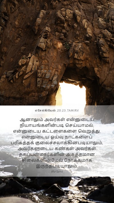 எசேக்கியேல் 20:23 TAMIRV Mobile Phone Wallpaper - ஆனாலும் அவர்கள் - Mobile Bible Verse Wallpaper
