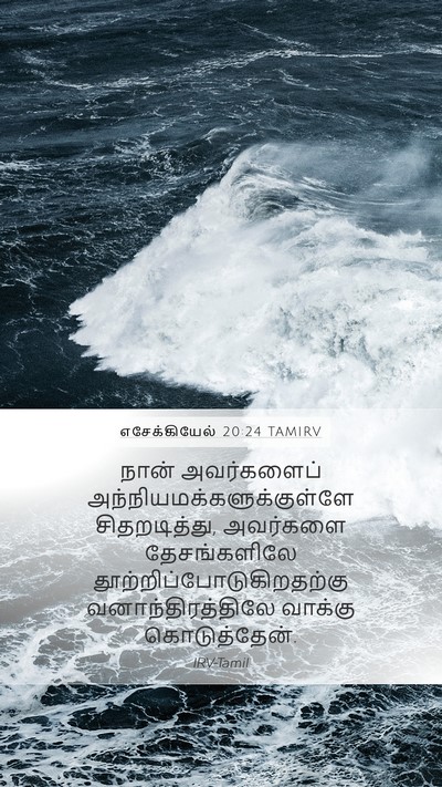 எசேக்கியேல் 20:24 TAMIRV Bible Verse Image