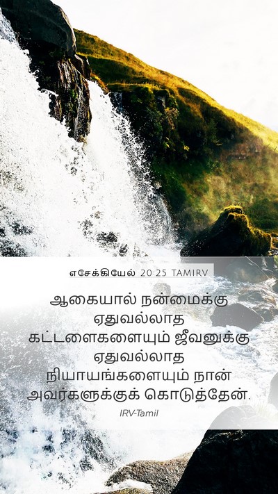 எசேக்கியேல் 20:25 TAMIRV Bible Verse Image