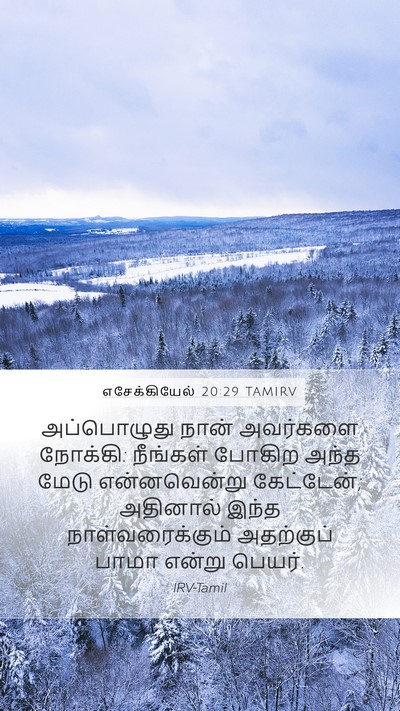 எசேக்கியேல் 20:29 TAMIRV Mobile Phone Wallpaper - அப்பொழுது நான் - Mobile Bible Verse Wallpaper