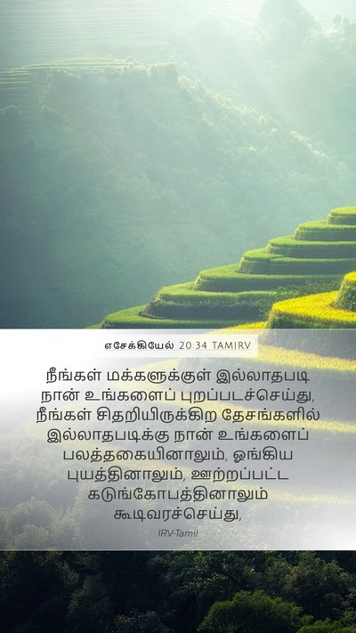 எசேக்கியேல் 20:34 TAMIRV Bible Verse Image