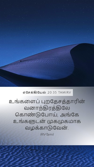 எசேக்கியேல் 20:35 TAMIRV Bible Verse Image