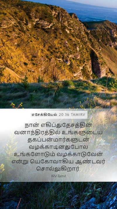 எசேக்கியேல் 20:36 TAMIRV Bible Verse Image