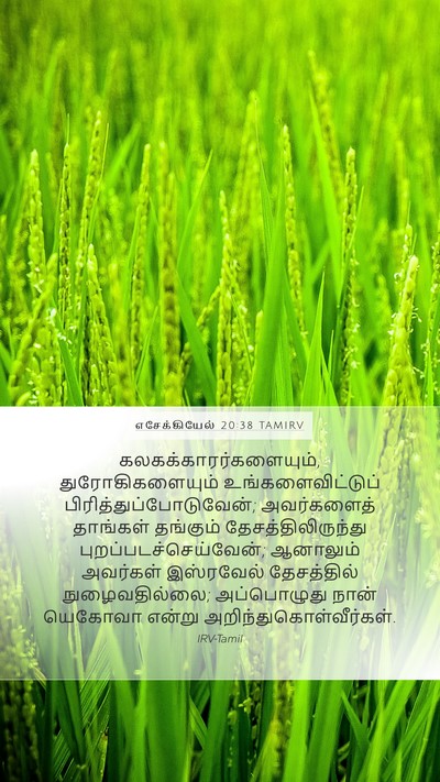 எசேக்கியேல் 20:38 TAMIRV Bible Verse Image