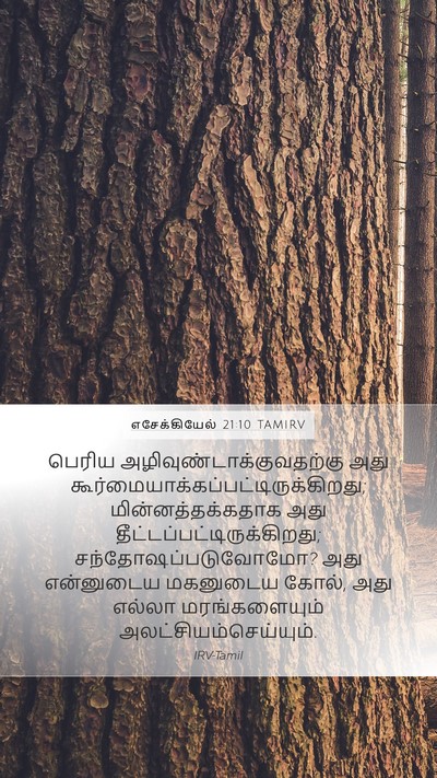 எசேக்கியேல் 21:10 TAMIRV Bible Verse Image