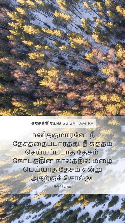 எசேக்கியேல் 22:24 TAMIRV Bible Verse Image