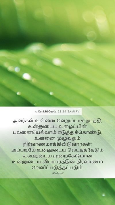 எசேக்கியேல் 23:29 TAMIRV Bible Verse Image