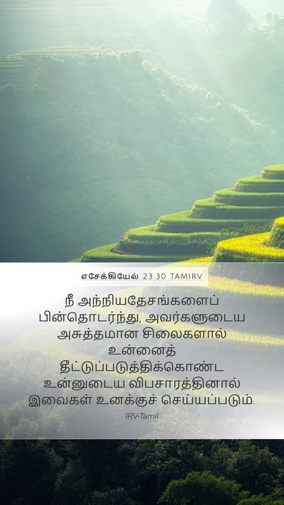 எசேக்கியேல் 23:30 TAMIRV Bible Verse Image
