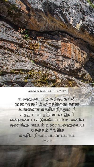 எசேக்கியேல் 24:13 TAMIRV Bible Verse Image