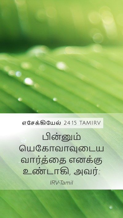 எசேக்கியேல் 24:15 TAMIRV Mobile Phone Wallpaper - பின்னும் - Mobile Bible Verse Wallpaper